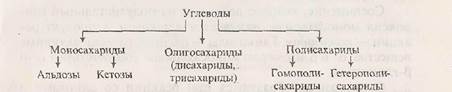 биологическая роль, строение, свойства углеводов и их производных - student2.ru