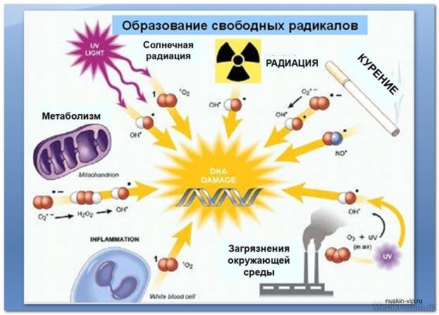 C запатентованным керамическим шариком - student2.ru