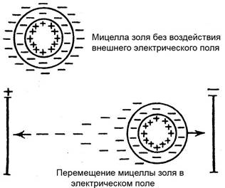 Чем выше заряд иона, тем сильнее его коагулирующее действие и тем ниже порог коагуляции - student2.ru