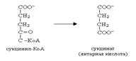 Цикл Кребса, биологическая роль, основные реакции. Ферменты цикла Кребса - student2.ru