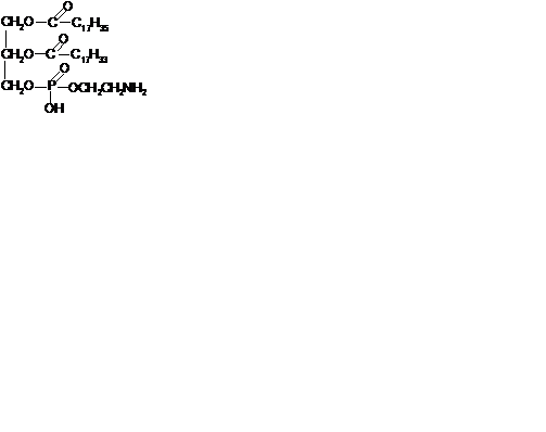 D-глюкуроновая кислота и N- ацетил-D- глюкозамин - student2.ru
