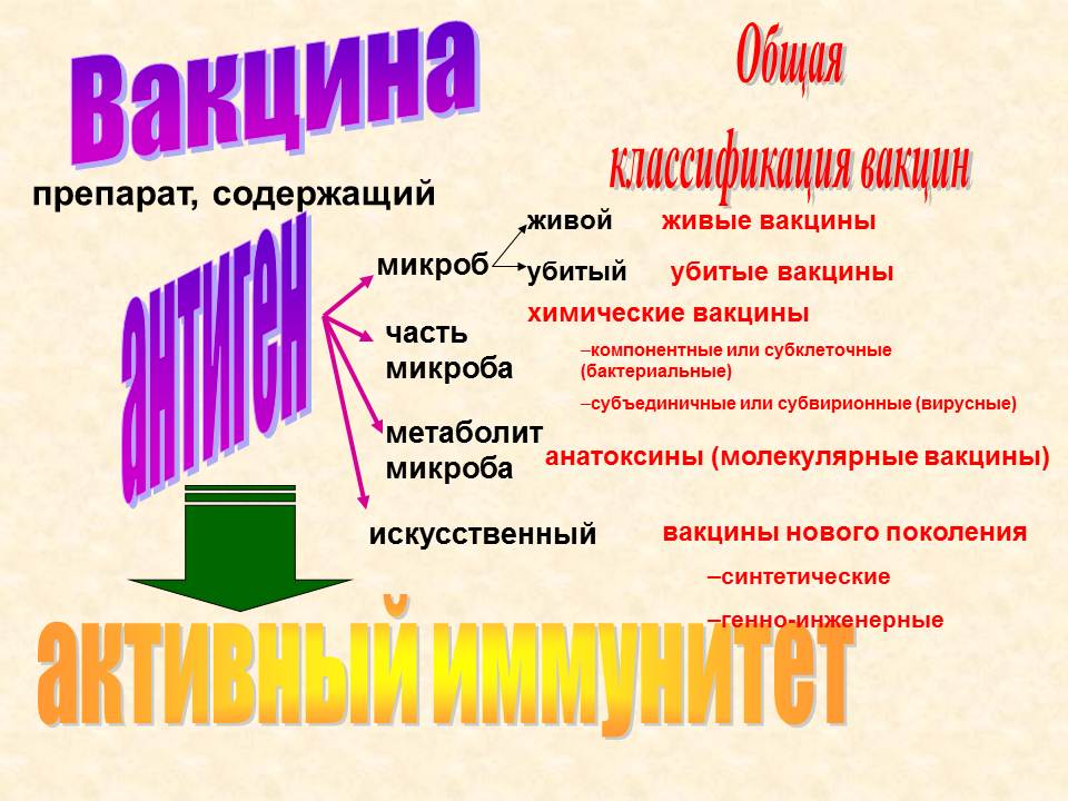 Д. Практические навыки, приобретаемые на занятии. Иммунопрофилактика: определение понятия. - student2.ru