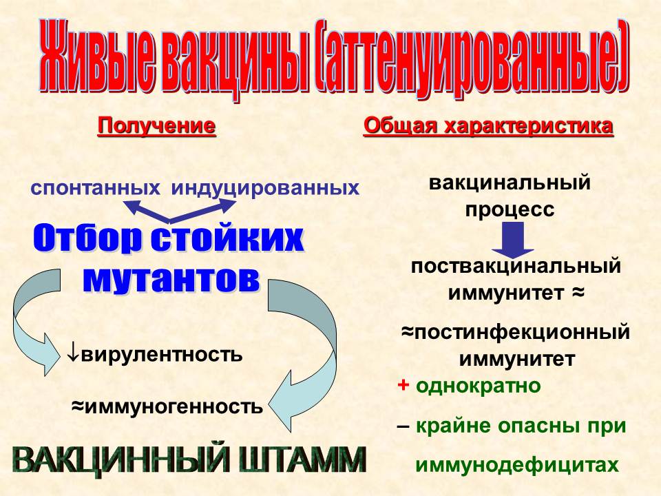 Д. Практические навыки, приобретаемые на занятии. Иммунопрофилактика: определение понятия. - student2.ru