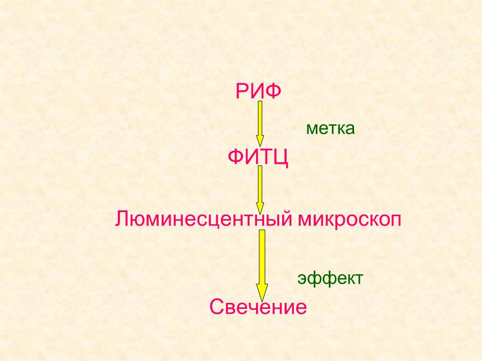 Д. Практические навыки, приобретаемые на занятии. Иммунопрофилактика: определение понятия. - student2.ru