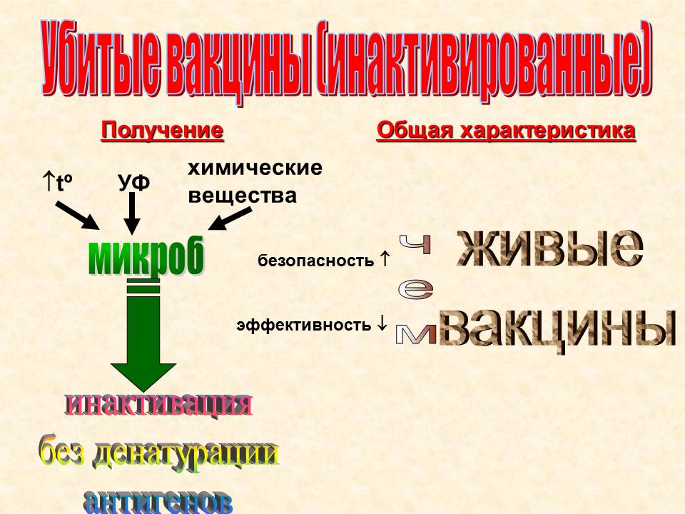 Д. Практические навыки, приобретаемые на занятии. Иммунопрофилактика: определение понятия. - student2.ru