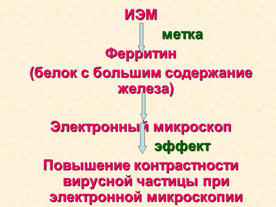 Д. Практические навыки, приобретаемые на занятии. Иммунопрофилактика: определение понятия. - student2.ru