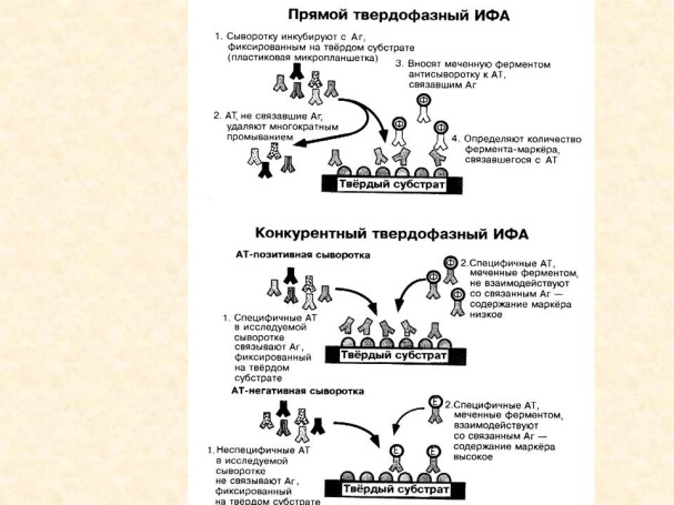 Д. Практические навыки, приобретаемые на занятии. Иммунопрофилактика: определение понятия. - student2.ru