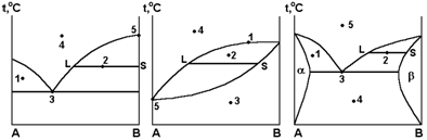 Диаграммы состояния систем, в которых образуются новые химические соединения - student2.ru