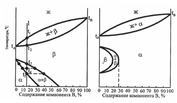 Диаграммы состояния сплавов, испытывающих полиморфные превращения - student2.ru