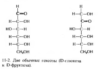 Дисахариды, состав и структура основных представителей (сахароза, мальтоза, лактоза). Какие связи образуются между моносахаридными остатками? - student2.ru