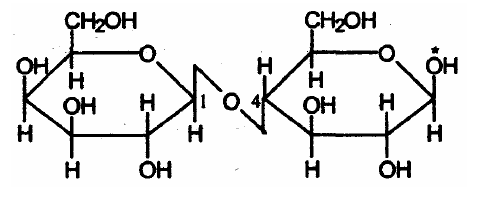 Дисахариды, состав и структура основных представителей (сахароза, мальтоза, лактоза). Какие связи образуются между моносахаридными остатками? - student2.ru
