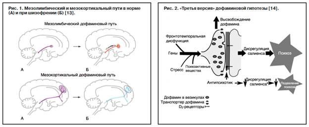 Дофаминовая теория шизофрении - student2.ru