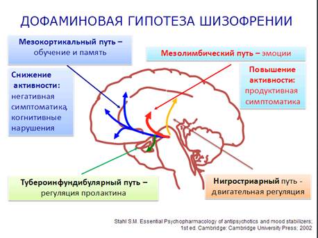 Дофаминовая теория шизофрении - student2.ru