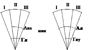 Доказательство проявления активности аланин-аминотрансферазы (АлАТ) методом бумажной хроматографии - student2.ru