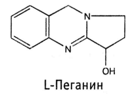 Другие названия: могильник, степная рута, адраспан - student2.ru