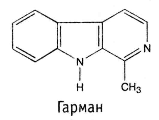 Другие названия: пассифлора инкарнатная, страстоцвет инкарнатный, кавалерская звезда - student2.ru