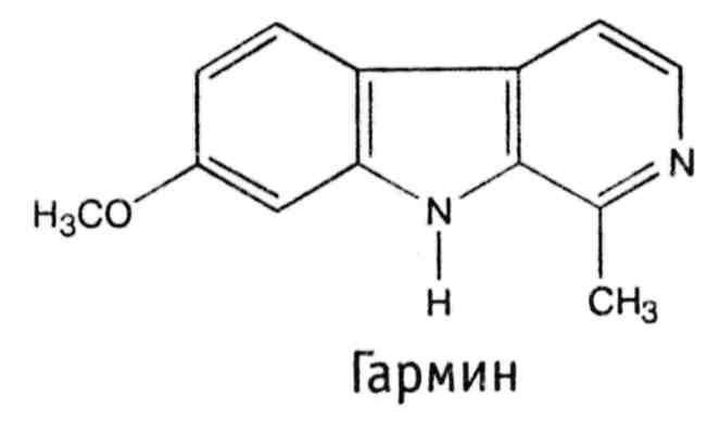 Другие названия: пассифлора инкарнатная, страстоцвет инкарнатный, кавалерская звезда - student2.ru