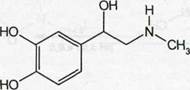 Epinephrine — эпинефрин (Адреналин) - student2.ru