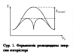 Ферменттердің жалпы сипаттамасы - student2.ru