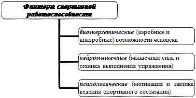 Физическая работоспособность - student2.ru