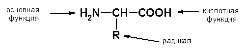 Физические свойства аминокислот - student2.ru