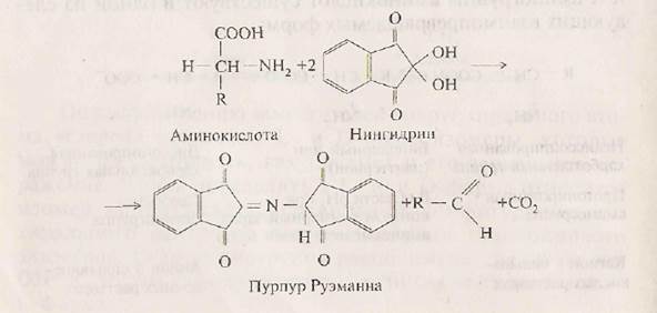 Физико-химичеовие свойства аминокислот - student2.ru