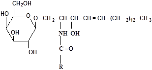 Фосфолипиды. Фосфатидилэтаноламины и фосфатидилсерины (кефалины), фосфатидилхолины (лецитины) – структурные компоненты клеточных мембран. - student2.ru