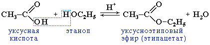 Функциональные производные карбоновых кислот - student2.ru