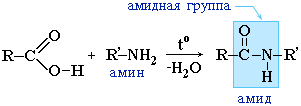 Функциональные производные карбоновых кислот - student2.ru