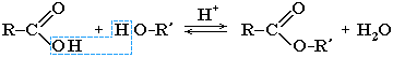 Функциональные производные карбоновых кислот - student2.ru