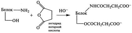 функциональные свойства белков - student2.ru