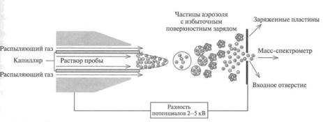Где I – спиновое число, N –число соседствующих магнитно-эквивалентных ядер - student2.ru