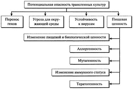 Генетически модифицированные продукты питания - student2.ru
