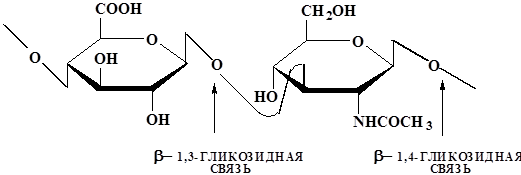 Гетерополисахариды: гиалуроновая кислота, хондроитинсульфаты. Первичная структура. Понятие о смешанных биополимерах (протеогликаны, гликопротеины, гликолипиды). - student2.ru