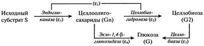 гидролиз крахмала - student2.ru