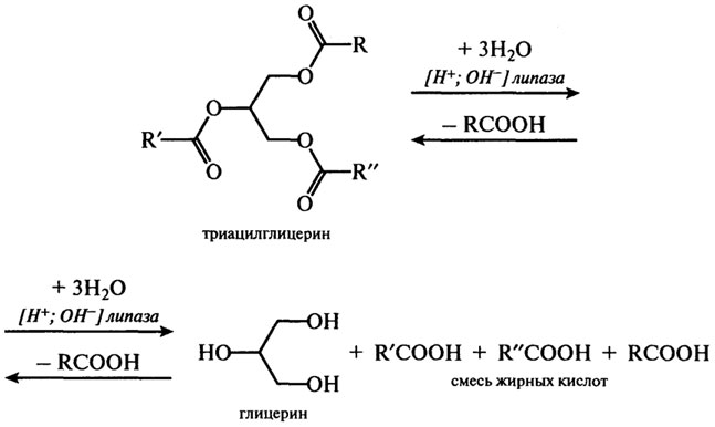 Гидролиз триацилглицеринов - student2.ru