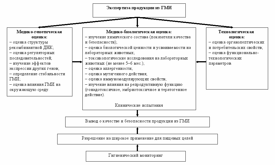 Гигиеническая характеристика химически и генетически модифицированных продуктов питания - student2.ru