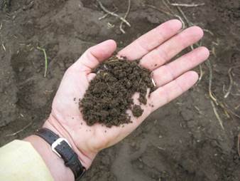 Гигиеническое значение химического состава почвы. - student2.ru
