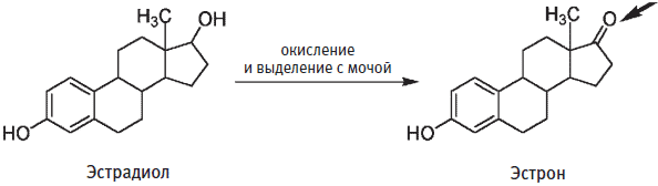 Глава 11 Противозачаточные средства - student2.ru