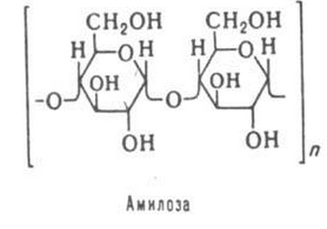 Гомополисахариды – состав, структура (связи), представители, значение - student2.ru