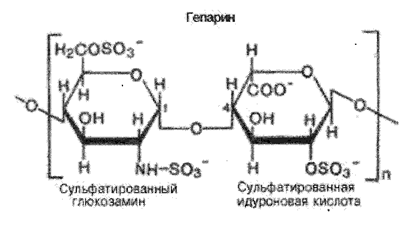 Гомополисахариды – состав, структура (связи), представители, значение - student2.ru