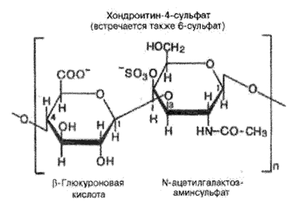 Гомополисахариды – состав, структура (связи), представители, значение - student2.ru