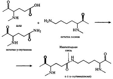 gt; фенилаланин > цистин > тирозин - student2.ru