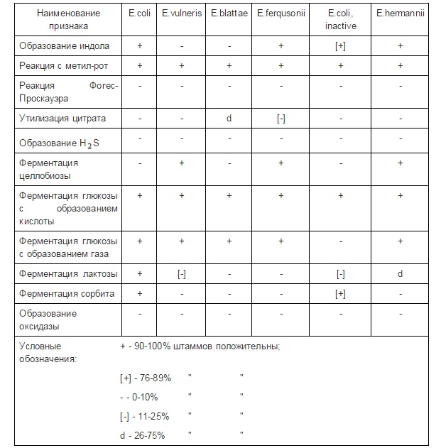 Идентификация Escherichia coli - student2.ru