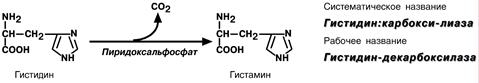 II класс. Трансферазы - student2.ru