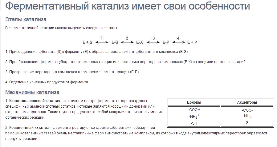 Иммуноглобулины, классы иммуноглобулинов, особенности доменного строения и - student2.ru