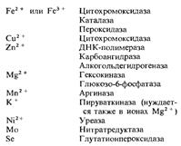 Индукция и репрессия синтеза ферментов - student2.ru