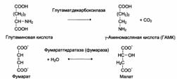 Индукция и репрессия синтеза ферментов - student2.ru