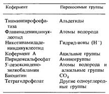 Индукция и репрессия синтеза ферментов - student2.ru