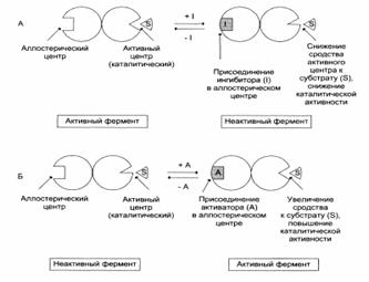 Индукция и репрессия синтеза ферментов - student2.ru